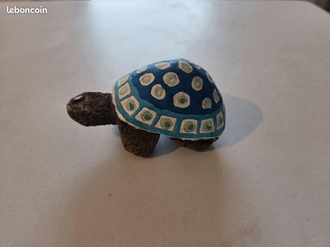 Mutation tortue (image 2)