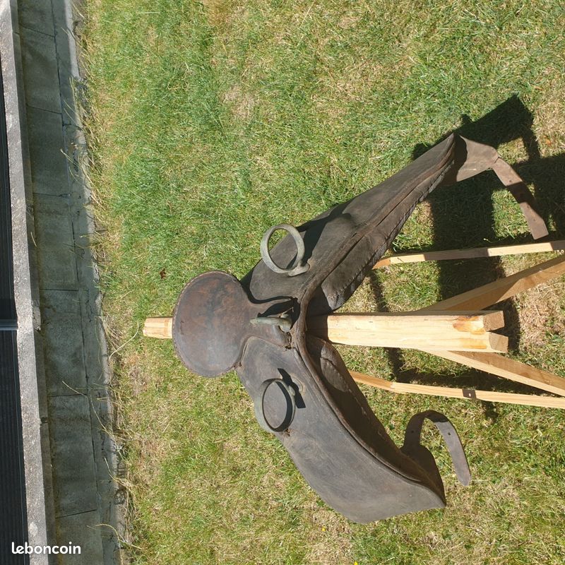 Selle voltige ancienne (image 2)