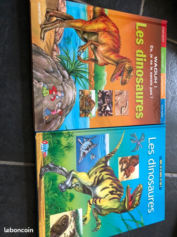Livres dinosaures (image 1)