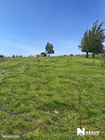Terrain 905 m² Bosc-Mesnil