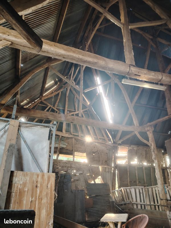 Grange charpente bois (image 2)