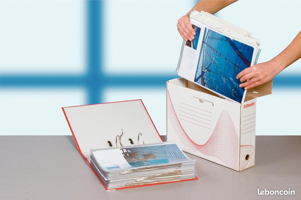 Lot De 5 Boîtes Archivage Esselte Carton Ondulé Blanc – 560 X 370 X 275 Mm, Solides & Pratiques