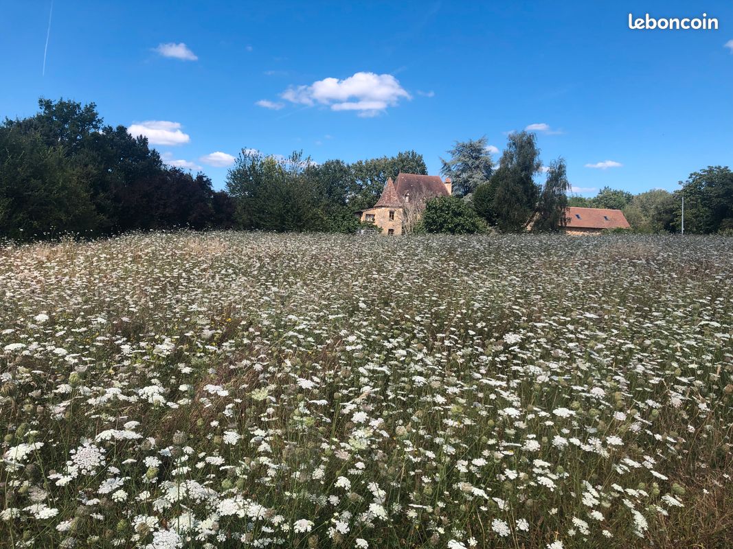 Direct particulier,Terrain Constructible, 2537 m2 à PLAZAC · 48 000 €