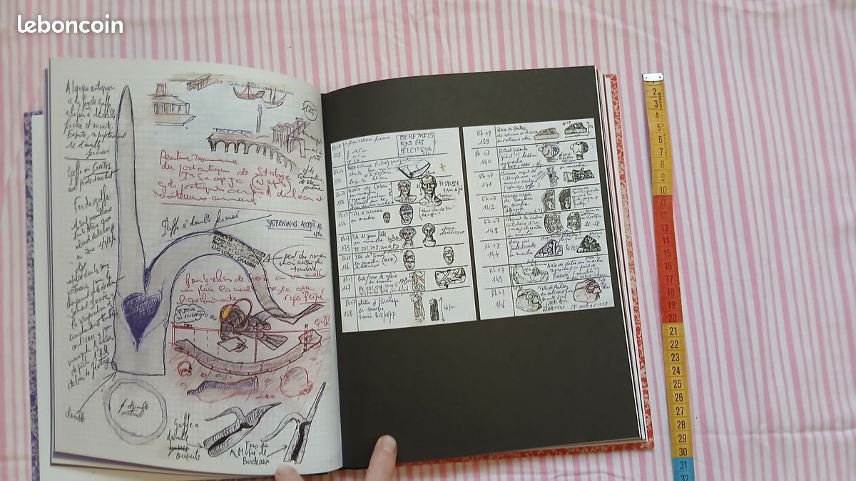 Carnet de fouilles et lab book luc long mark dion (image 5)