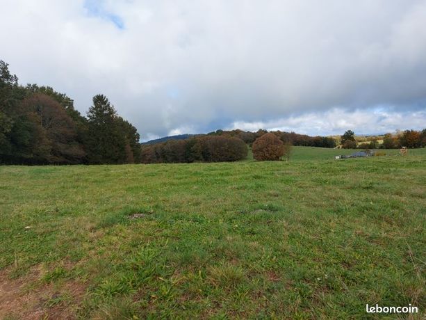 Terrain 1 611 m² Palazinges
