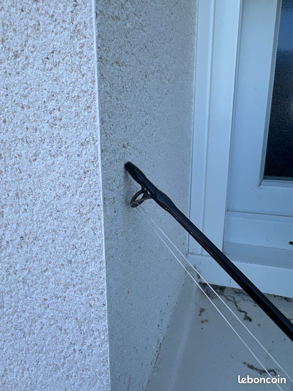 Canne silure (image 2)