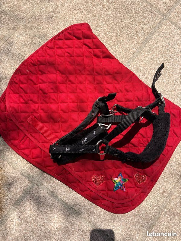 Tapis équitation rouge et licol noir poney (image 1)