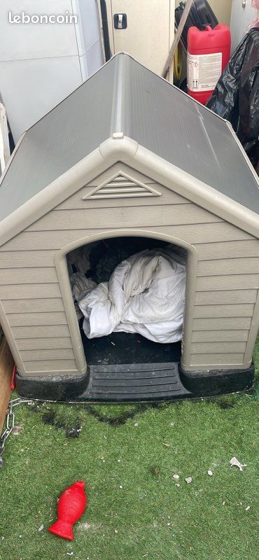 Niche de chien (image 1)