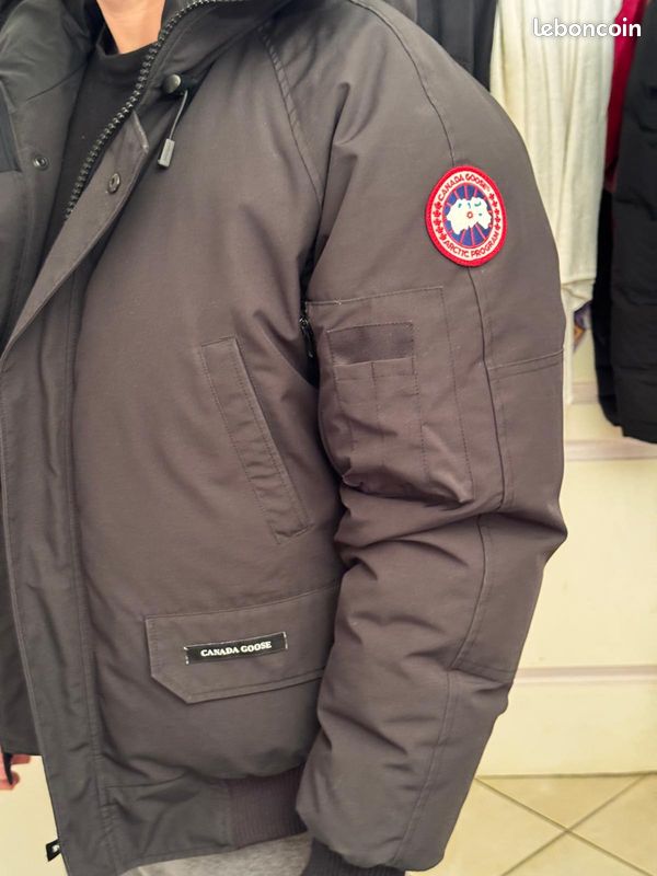 Canada goose (image 10)