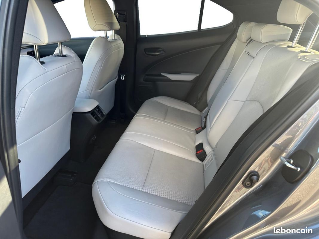 Lexus UX 250h 2WD Luxe MY19 (image 10)