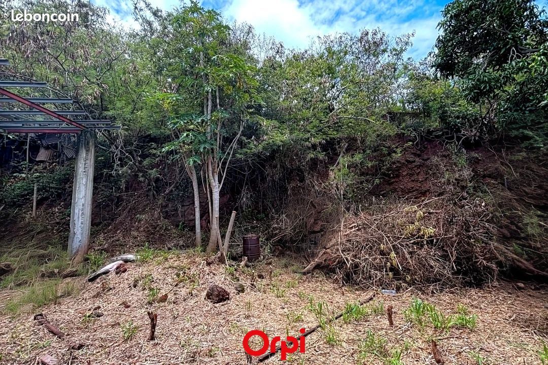 Terrain 733 m² Sainte Marie (image 7)