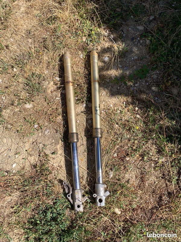 Fourche derbi (image 2)