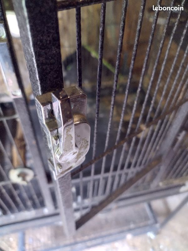 Cage perroquet / grande perruche (image 2)