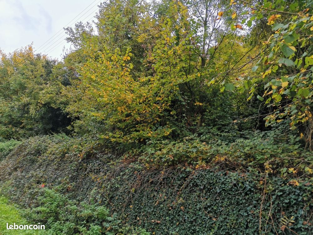 Terrain briey (image 2)