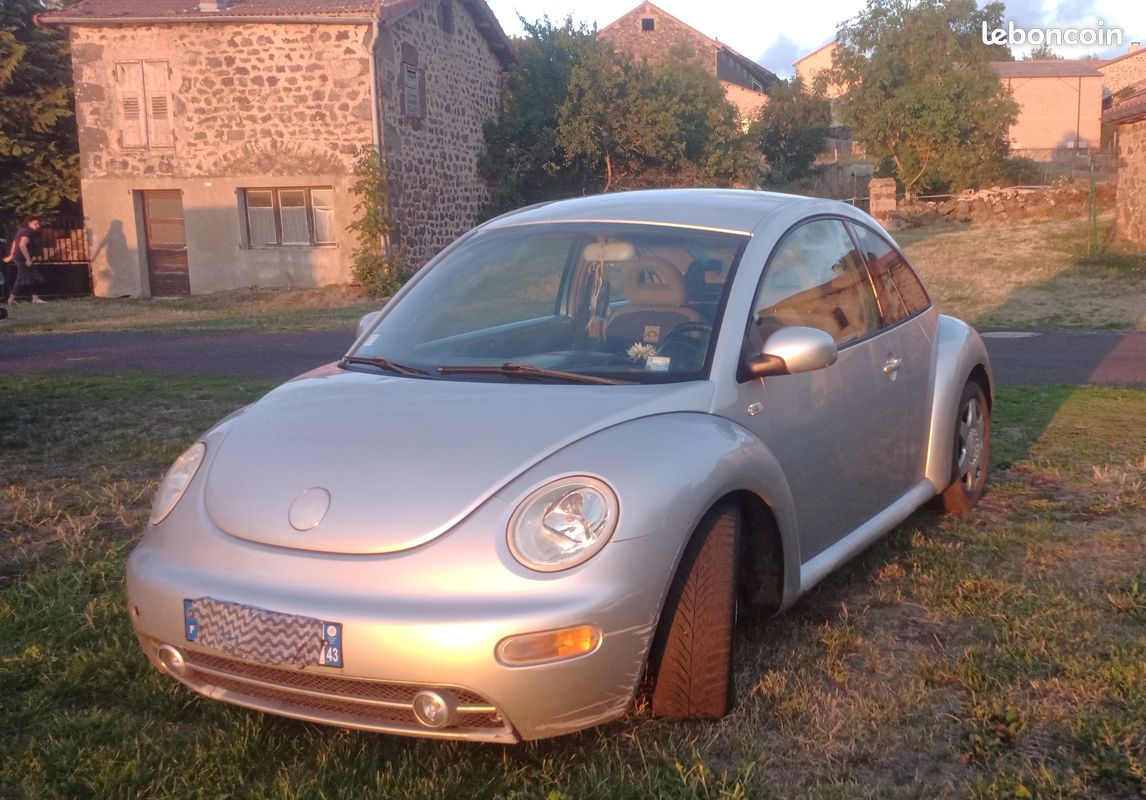 New Beetle (image 1)