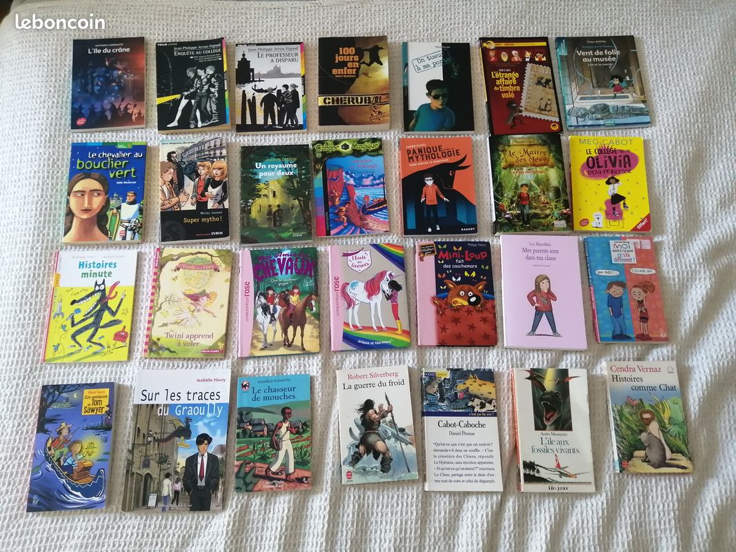 Lot : Livres enfants divers (image 4)