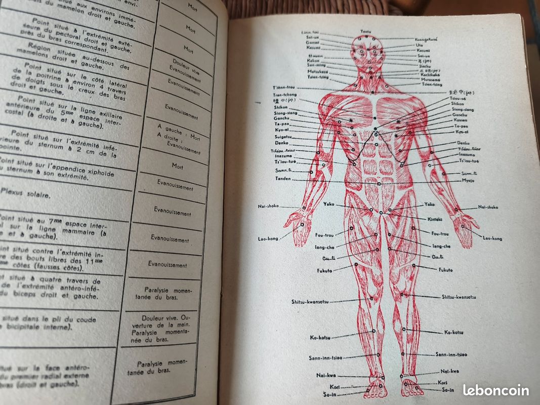 L'art d'attaquer les points vitaux "techniques secrètes de self défense" (image 8)