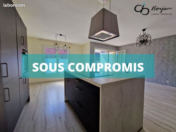 https://img.leboncoin.fr/api/v1/lbcpb1/images/a8/41/98/a8419837235c57fa178bc373f727c2af9bdc50fc.jpg?rule=ad-image