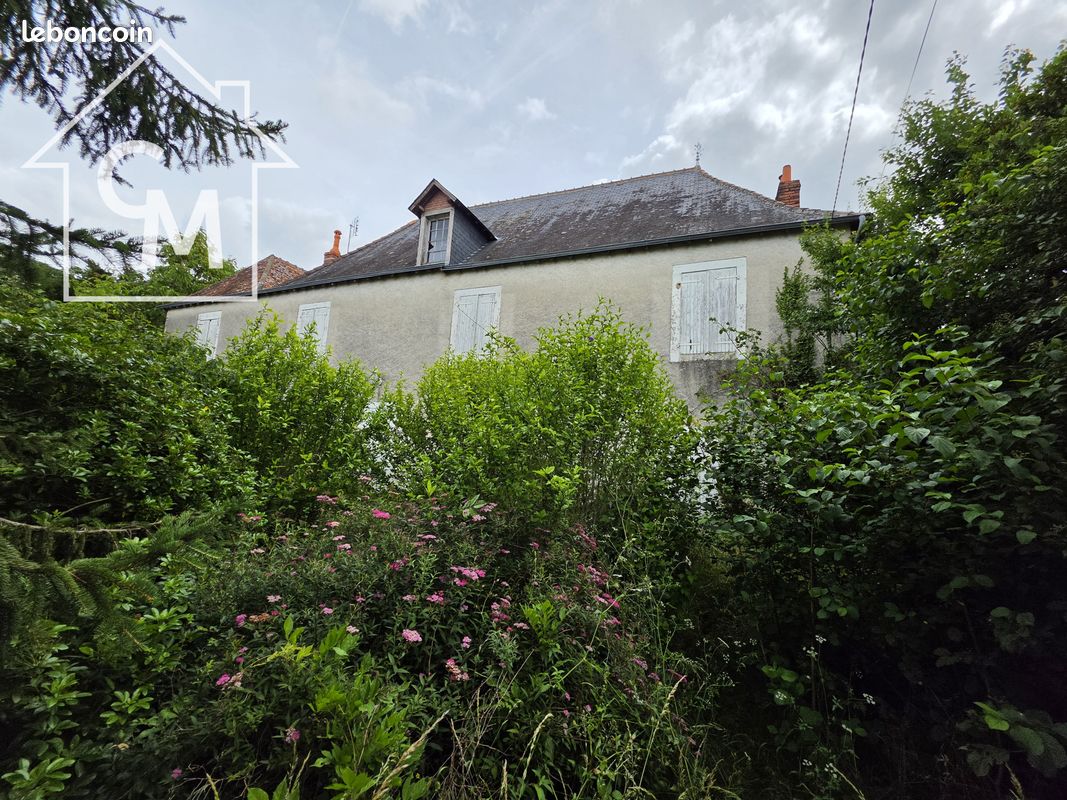 Maison 12 pièces 307 m² · à Le Blanc · 307 m² · 100 000 €