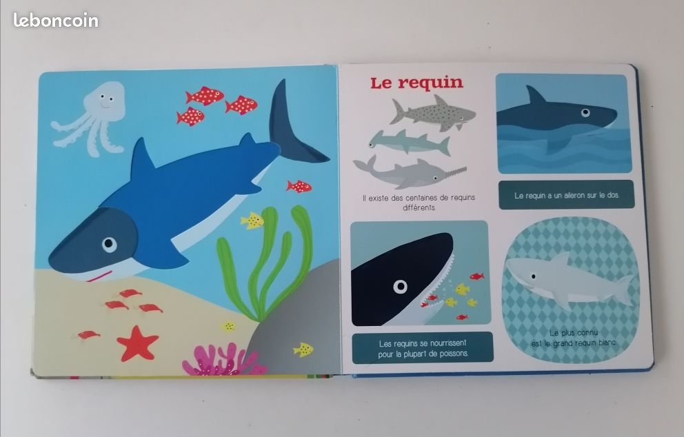 Les animaux de la mer (image 5)