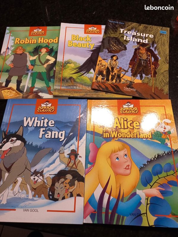 Livre pour enfant en anglais (image 3)