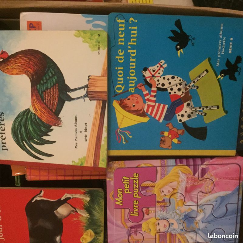 Grand lot livres pour tout petit ou enfant (lot 15) (image 3)