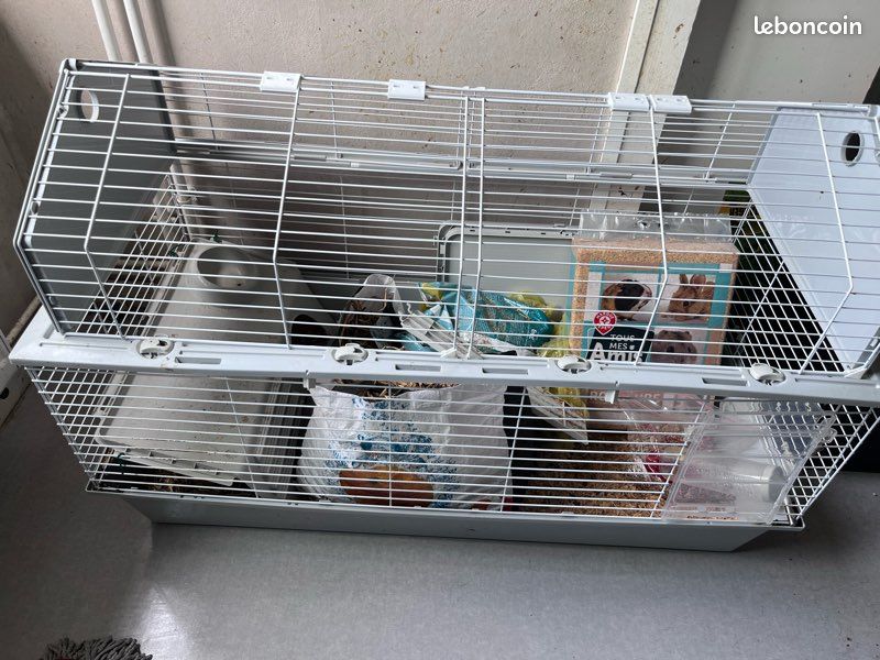 Cage à lapin (image 2)
