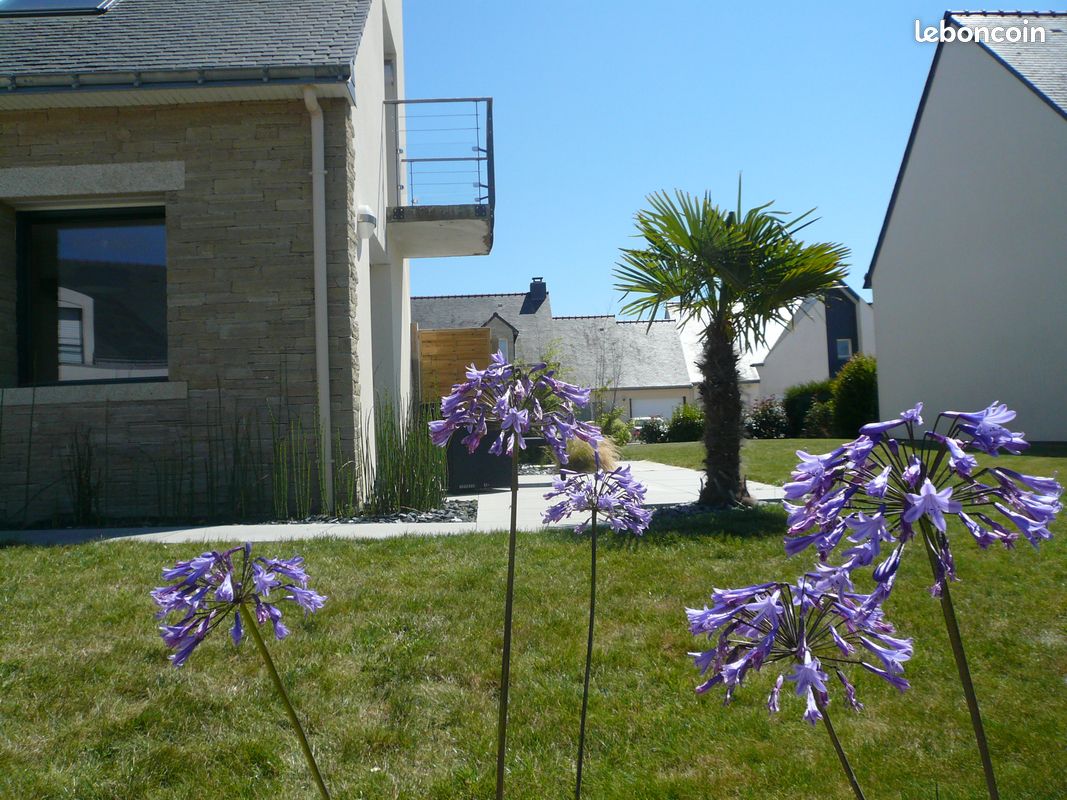 Damgan, golfe du Morbihan,WIFI, vélos, mer à 150m (image 8)