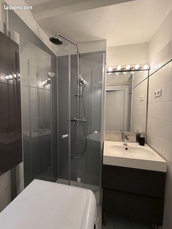 Paris 15e – Charmant 2 pièces atypique de 35 m² avec cave voûtée de 13 m² (image 3)