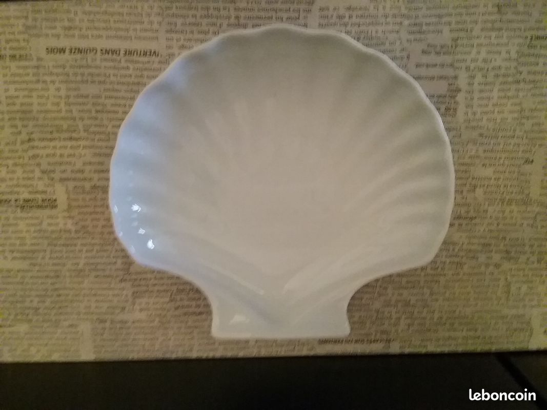 Coquille St Jacques de marque l’Hirondelle – lulu 31 (image 3)