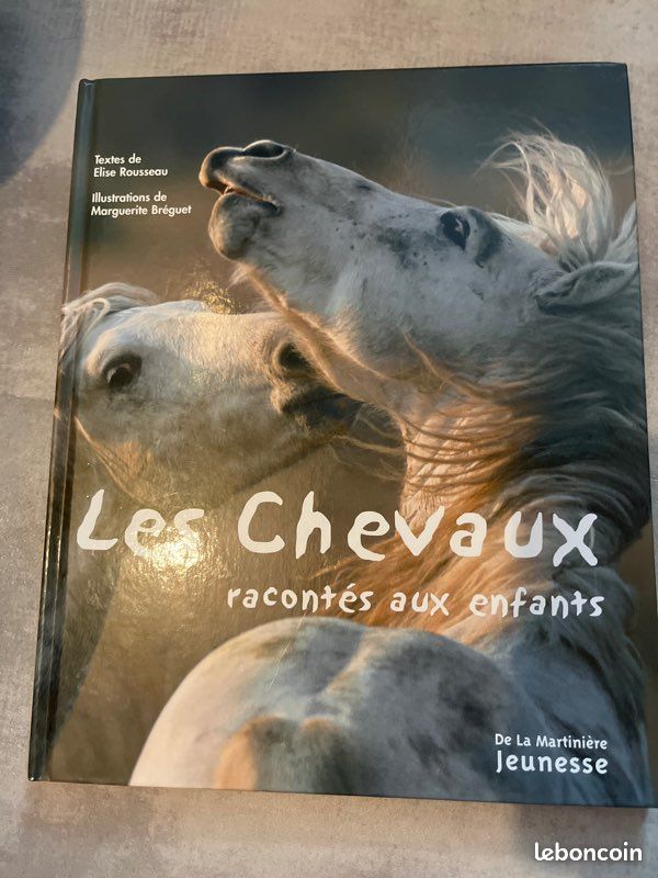 Livre - les chevaux racontés aux enfants (image 2)