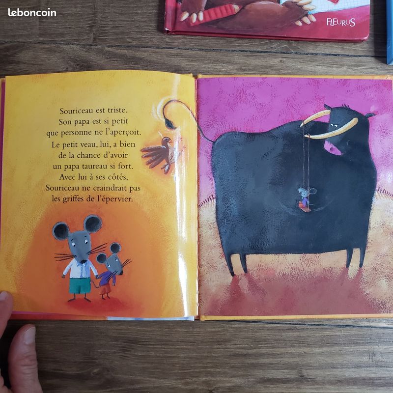 5 ouvrages littérature de jeunesse thème famille, fêtes des mères/pères, arrivée petit frère/soeur (image 4)