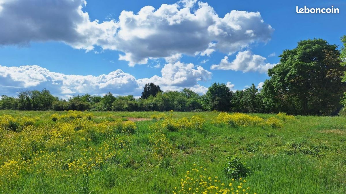 Terrain 427 m² Cernay · 90 090 €