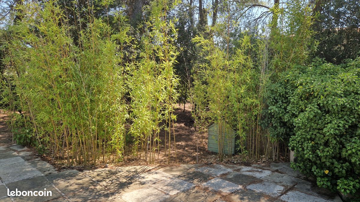 Terrain 669 m² Langlade (image 4)