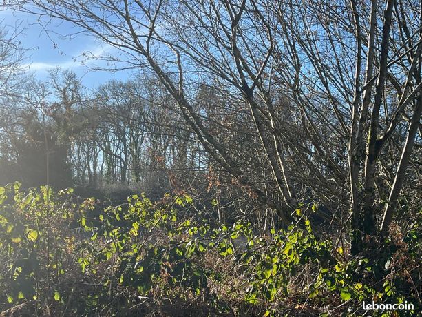 Terrain 6 028 m² Treffrin