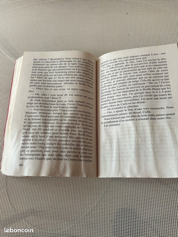 Livre : Flocon d’amour - John Green ( état satisfaisant ) (image 3)