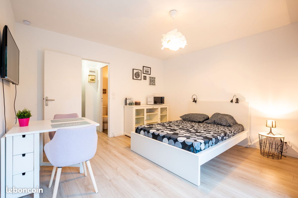 Appartement proche CHU quartier Saint Augustin - Bordeaux 33000 (image principale 2)
