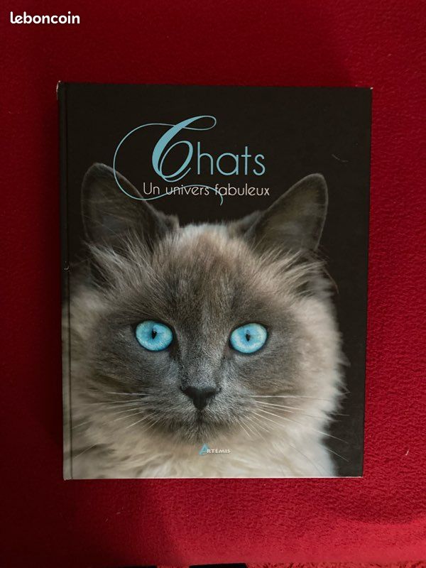 Chats : un univers fabuleux (image 1)