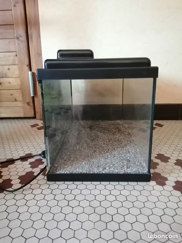 Aquarium (image 4)