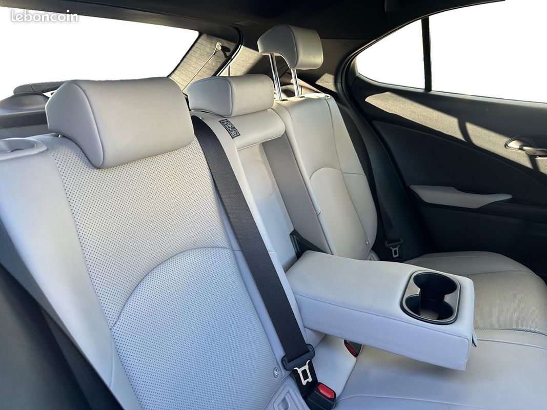 Lexus UX 250h 2WD Luxe MY19 (image 18)
