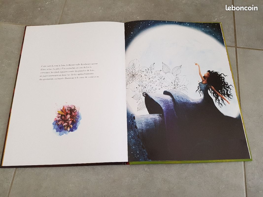 Livre Lucia petite danseuse de flamenco (image 3)