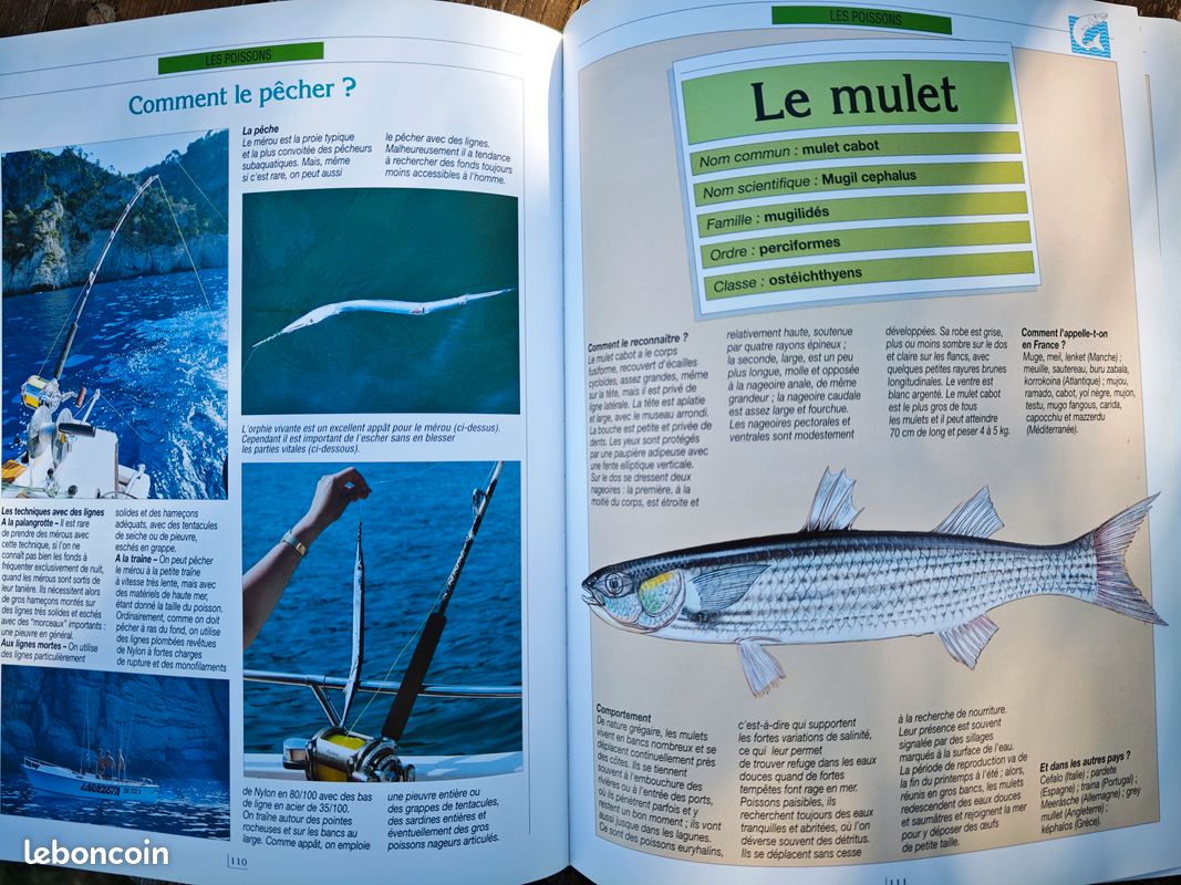 Livres de pêches (image 4)