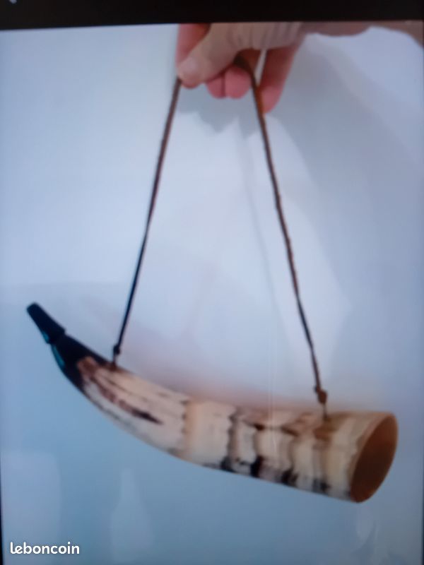 Corne de chasse (image 8)