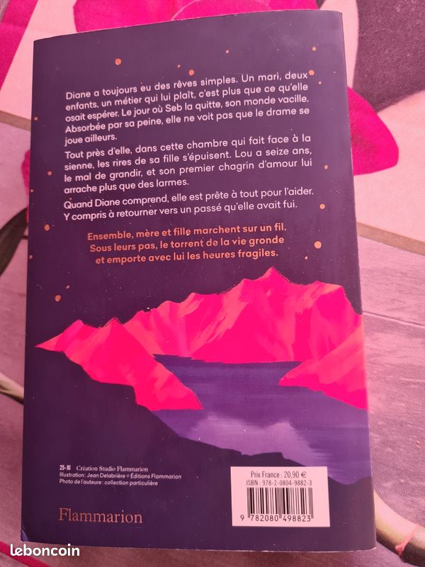 LIVRE BROCHÉ "LES HEURES FRAGILES" de Virginie GRIMALDI (image 2)