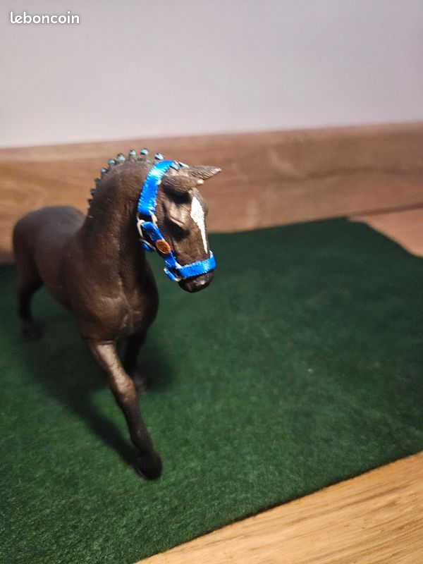 Cheval et sa cavalière (image 4)