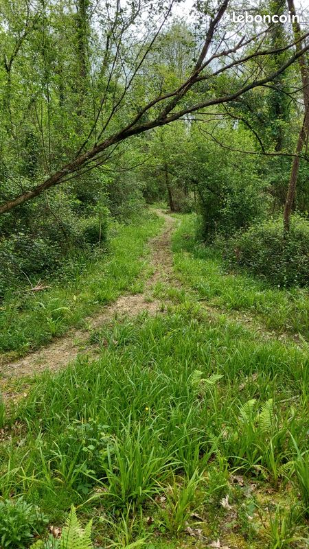 Terrain boisé · à Oeyregave · 16 000 €