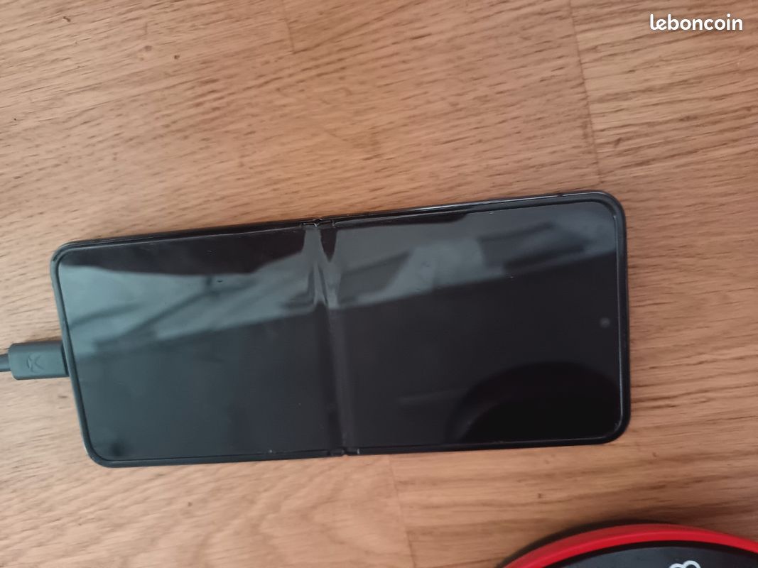 Zflip 4 (image 4)