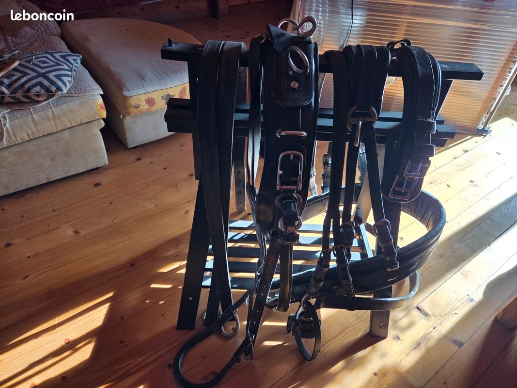 Lot De Quincaillerie En Laiton Pour Harnais De Poney - Occasion - 3 Pièces (918242)