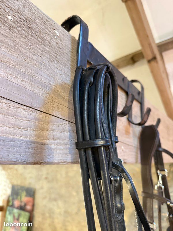 Filet de bride équitation dressage (image 4)