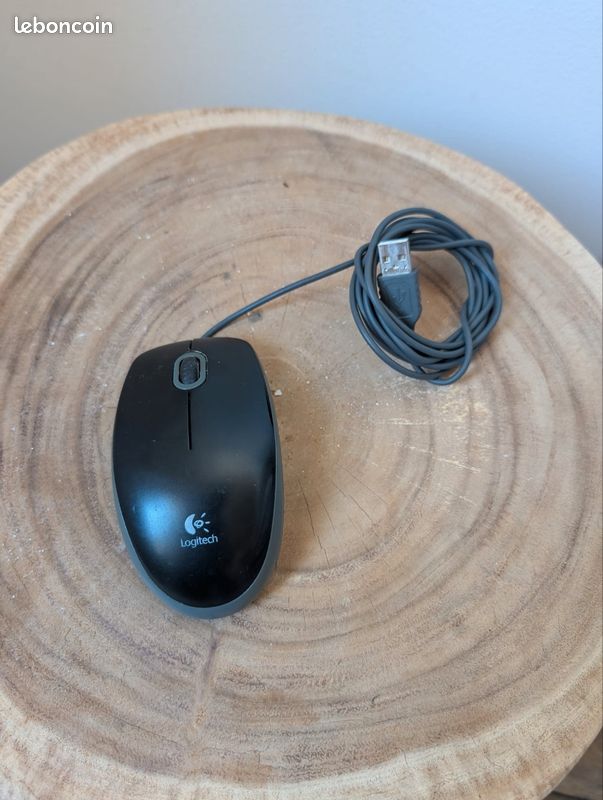 Souris filaire (image 1)